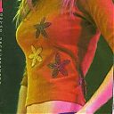 post-16080-1209202939.jpg