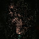 20090815201.gif